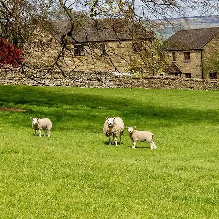 Character In West Burton, Wensleydale *